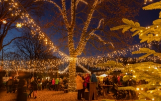 Lichtermeer auf dem Weihnachtsmarkt im Tierpark Nordhorn.