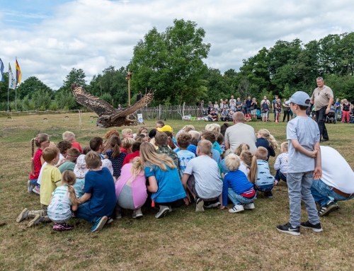 Falknervorführungen im Tierpark Nordhorn – Ein unvergessliches Erlebnis für die ganze Familie