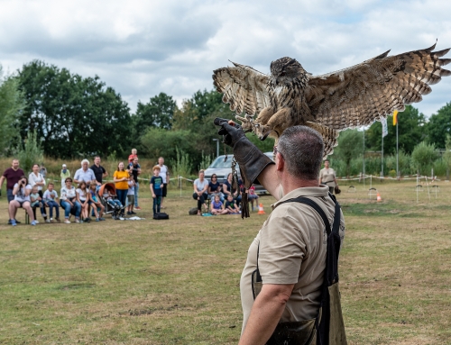 Greifvogelvorführungen im Tierpark Nordhorn – 12. Juli 2025