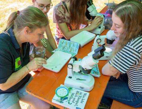 🌍🐾 Neue Studie bestätigt: Zoos sind wichtige Partner für Bildung & Artenschutz! 🐾🌍