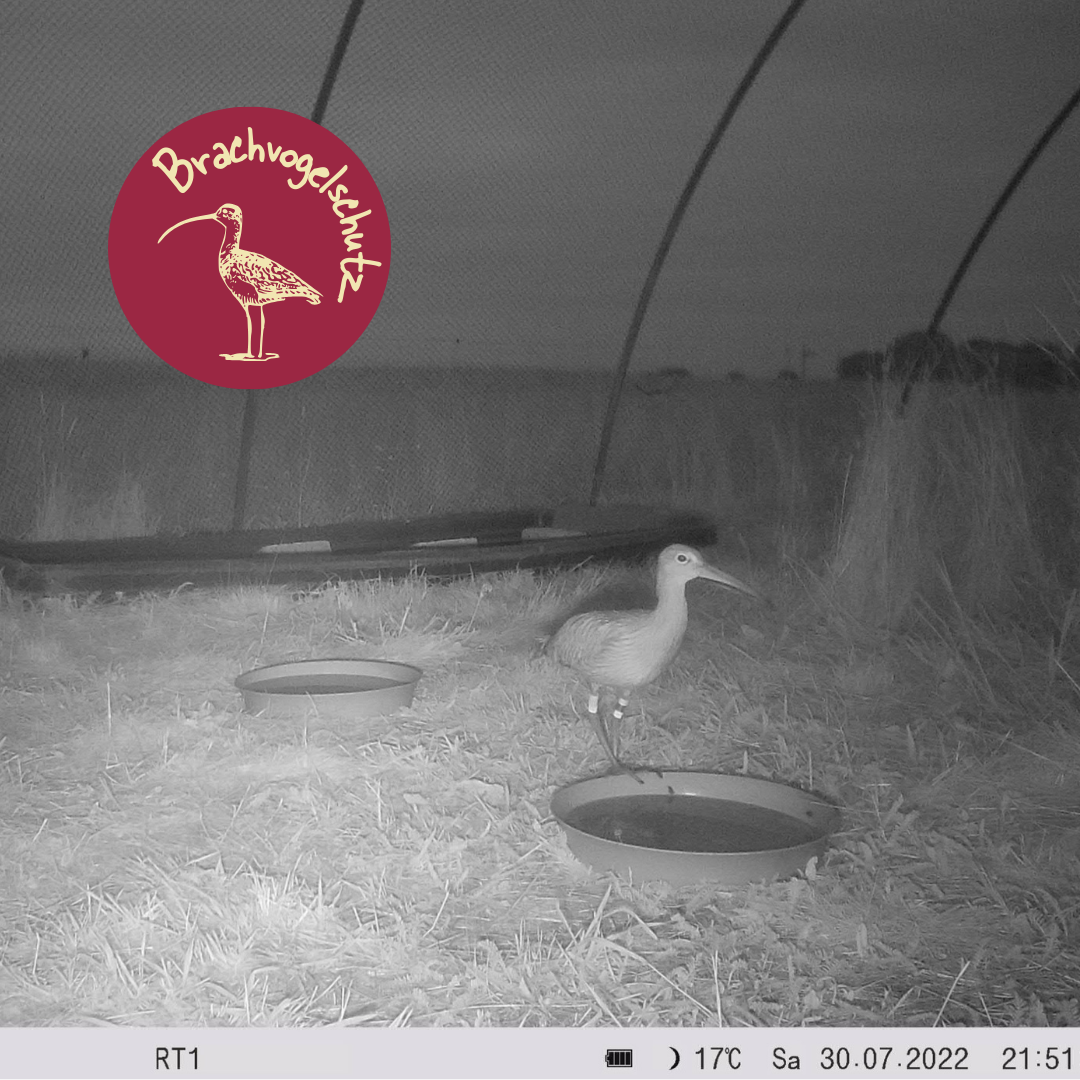 Auswilderung II, Tür auf – Bild 3