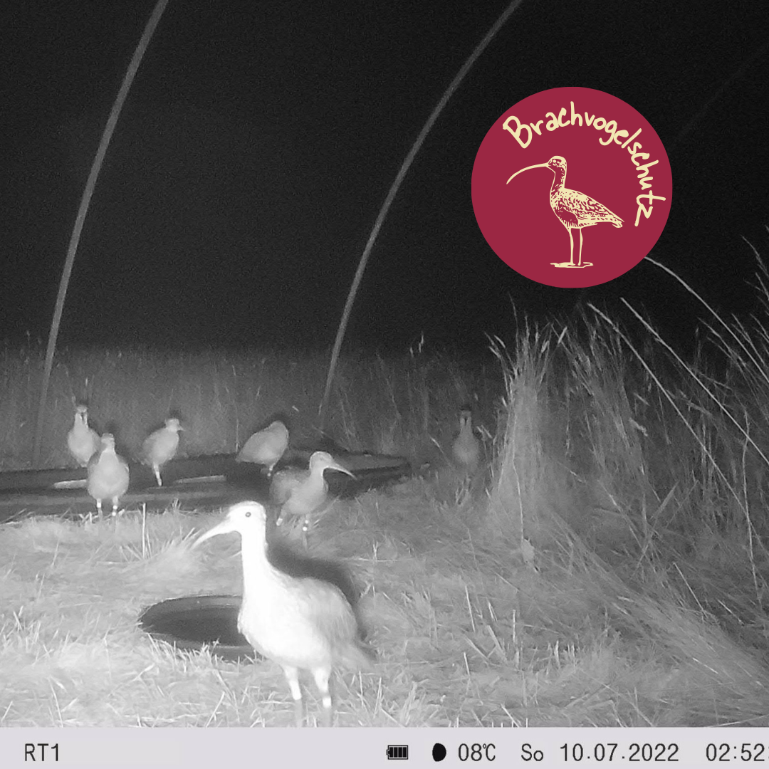 Auswilderung II, Tür auf – Bild 4