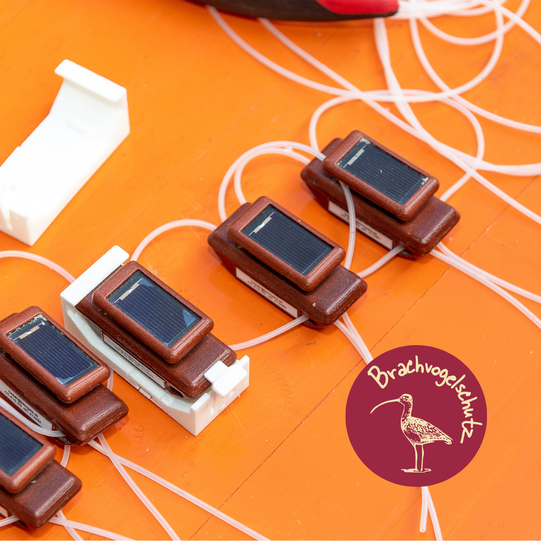 Besenderung – Bild 3