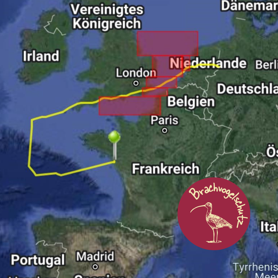 Besenerung – Bild 4