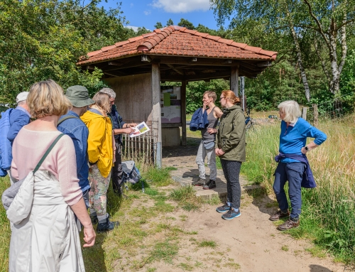 Gratisführung im Naturschutzgebiet Tillenberge